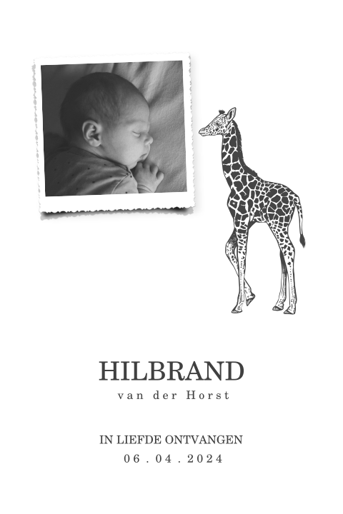 Geboortekaartje jongen met giraf en foto