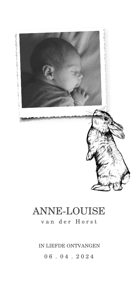 Geboortekaartje konijn met foto op voorkant