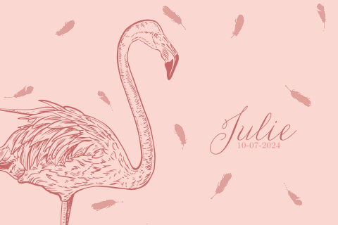 Hip geboortekaartje met flamingo in roze tinten